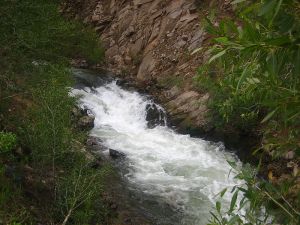 800px-Red_River_of_New_Mexico_Picture_2010