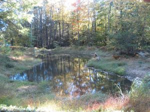 800px-Blue_Cliff_Monastery_-_3